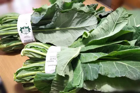 Il Broccoletto di Custoza: un Presidio Slow Food da scoprire