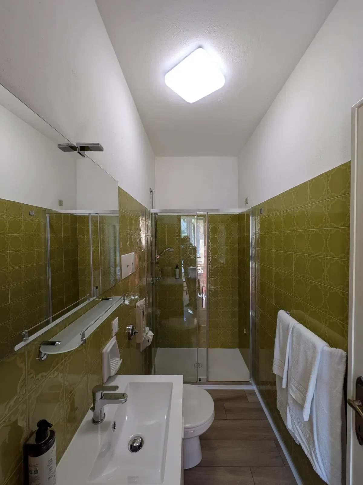 Renovated private bathroom with shower in the room