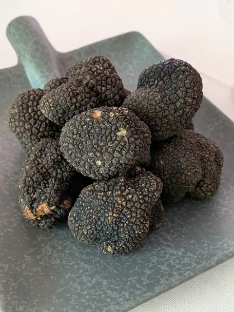 Tartufo nero estivo della Lessinia su un piatto al Ristorante Le Rasole