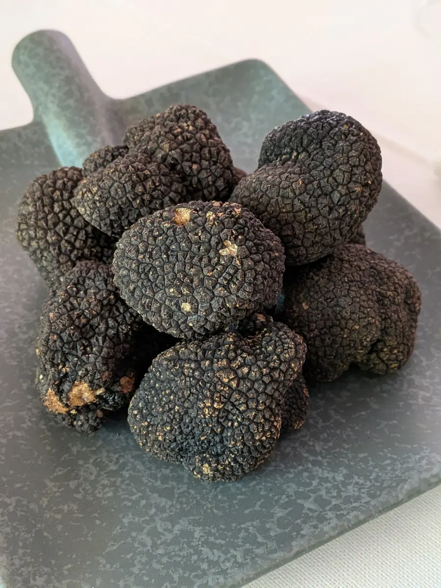 Tartufo nero estivo della Lessinia su un piatto al Ristorante Le Rasole