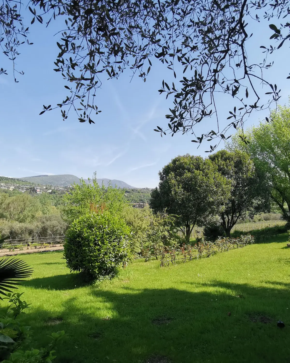 Il giardino del Ristorante Le Rasole a Garda