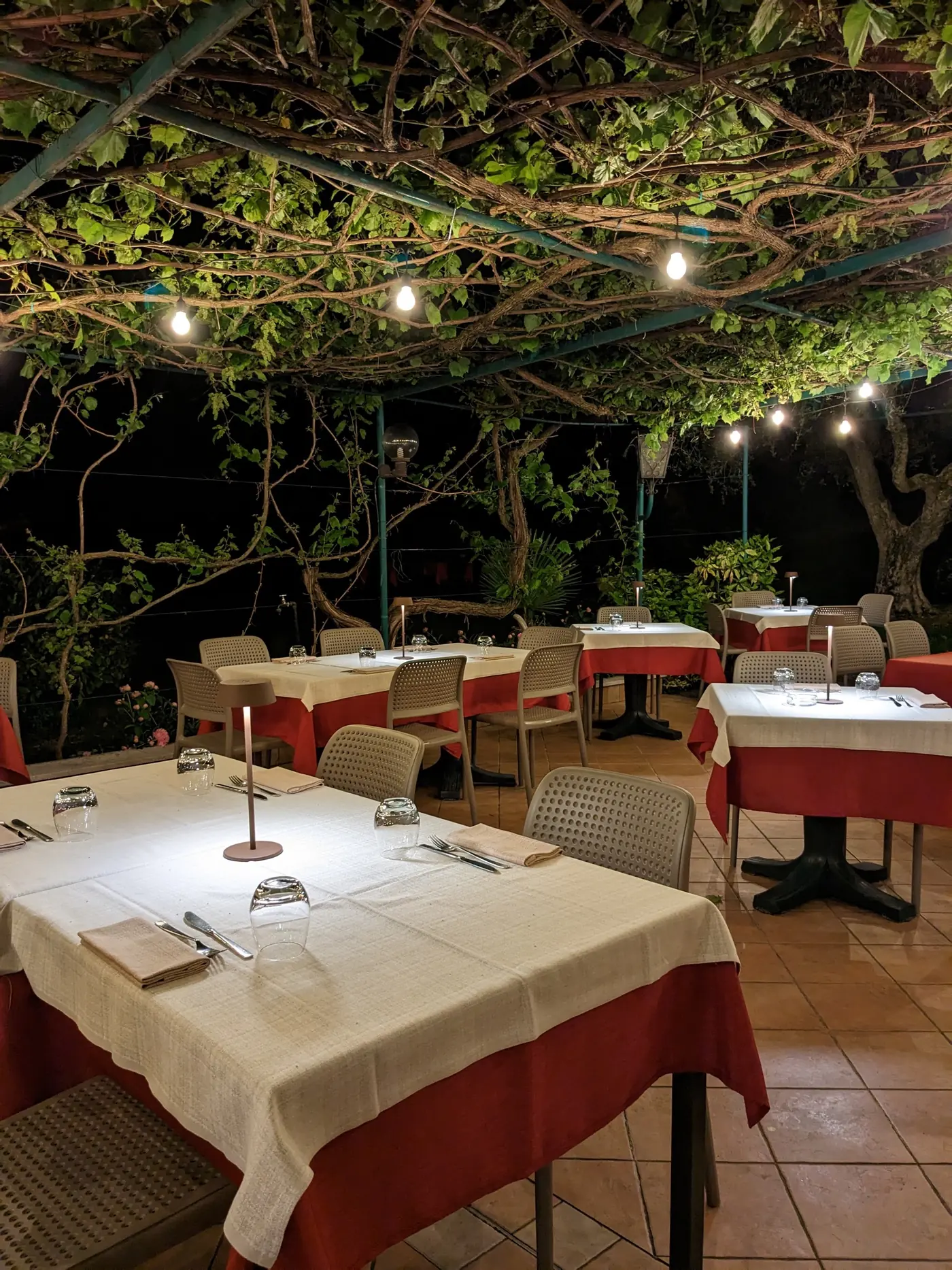 Tavoli sotto il pergolato del Ristorante Le Rasole